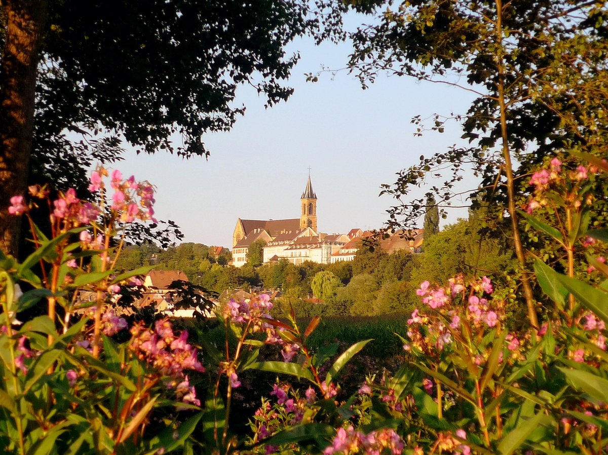 Mon_Grand_Est's tweet image. Altkirch, vous connaissez ?
C’est une sous-préfecture du Haut-Rhin nichée tout au sud de l’Alsace, dans une région rurale que l’on appelle le Sundgau.
Pour en savoir plus sur le blog mon-grand-est.fr/altkirch/
#Altkirch #sundgau #sudalsace #visitalsace