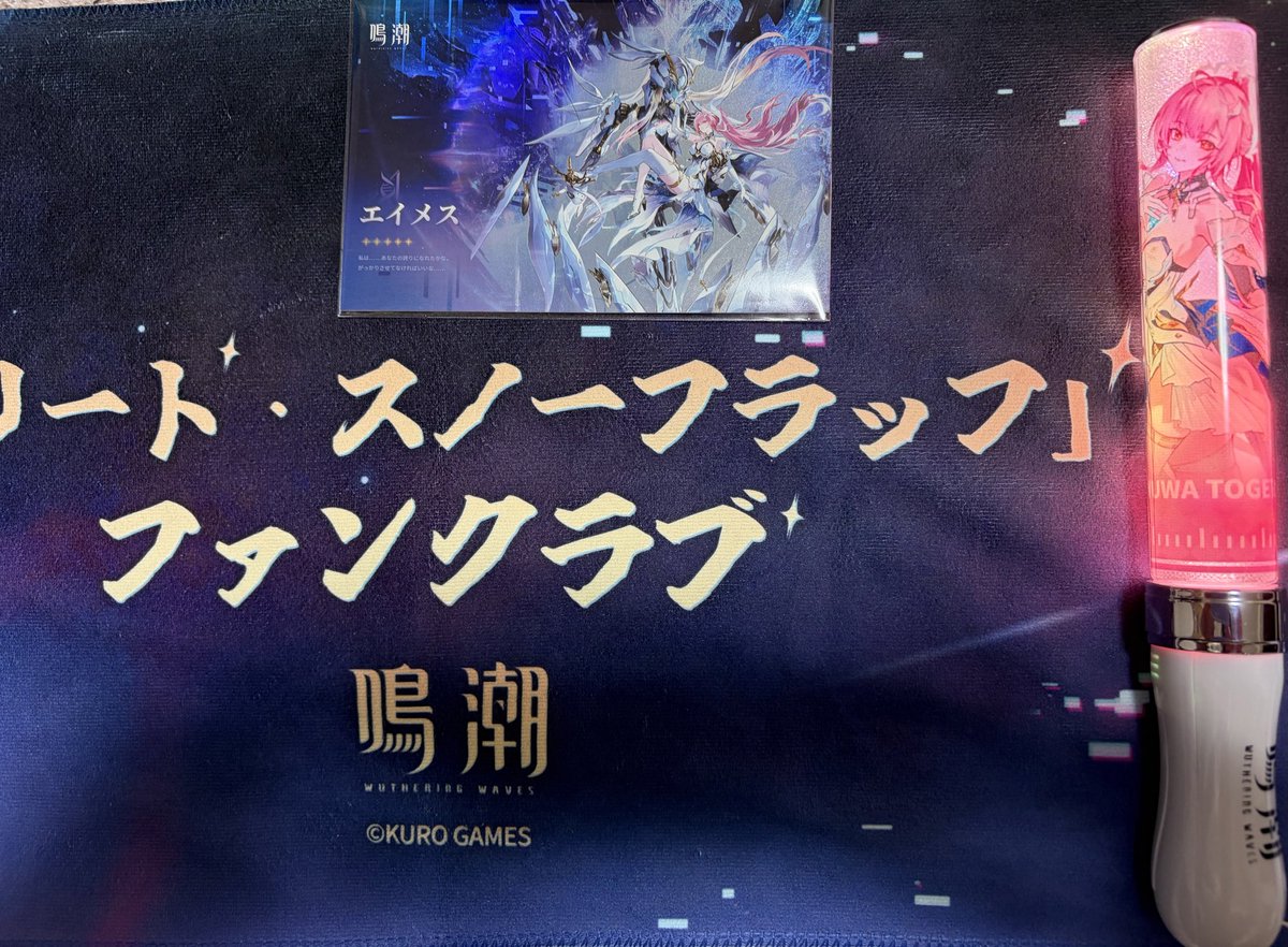 鳴潮ライブ戦利品エイメスのペンライト自引きできたの、さすがに誇り
