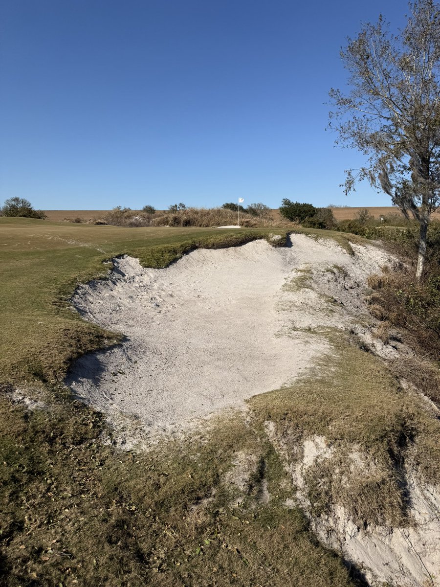 John Mcloughlin tweet media