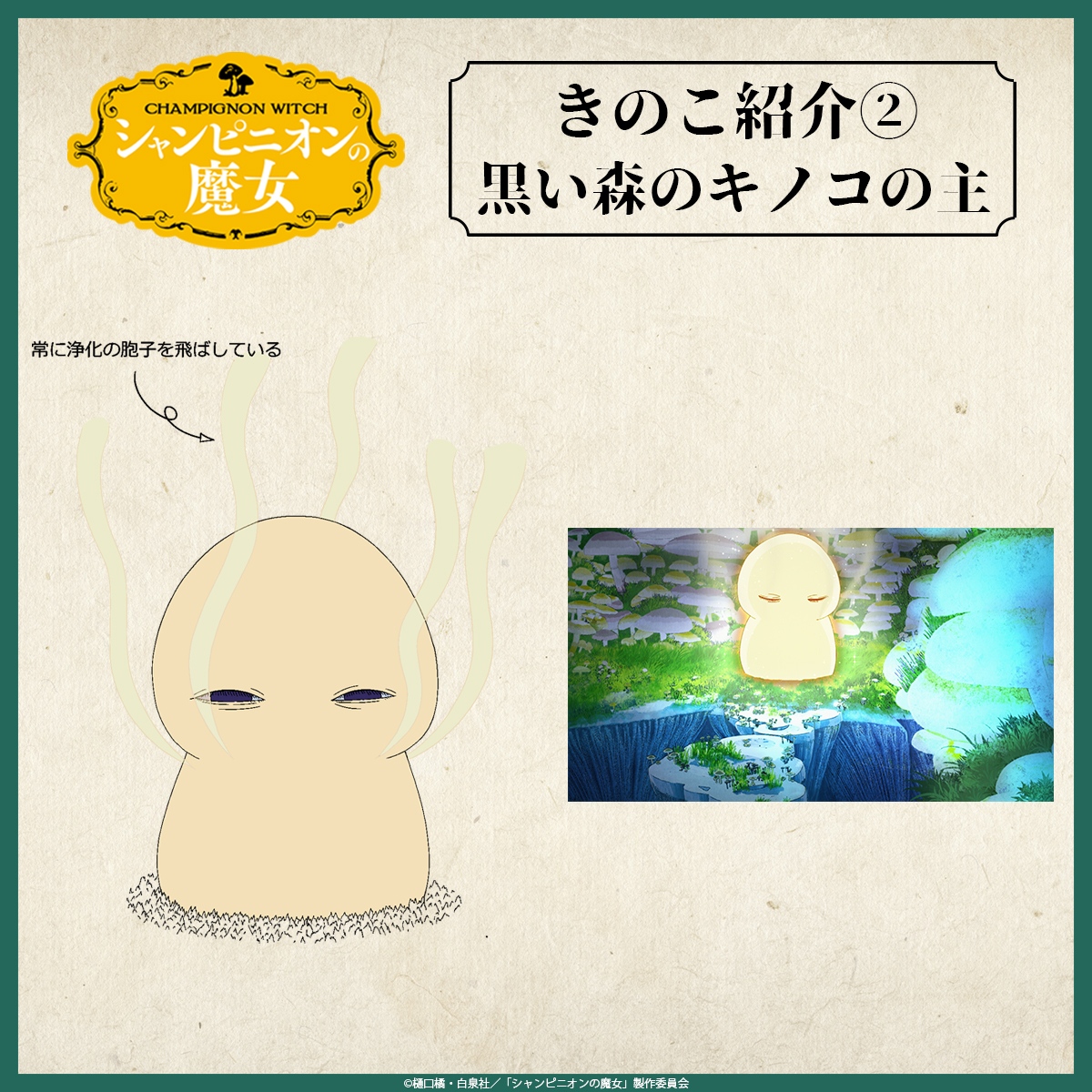 ⊹⁺‧ きのこ紹介 ‧⁺ ⊹˚. 🍄黒い森のキノコの主🍄 先代シャンピニオン