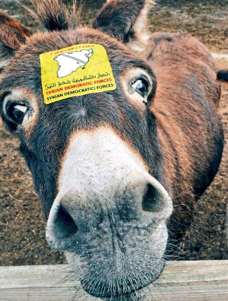 Rebranding the PKK as the ‘SDF’ was a historic mistake from day one! You can rename an organization, but you can’t manufacture legitimacy!
Now a government delegation has arrived in Hasakah to take back institutions and departments for the Syrian state- reality replacing illusion