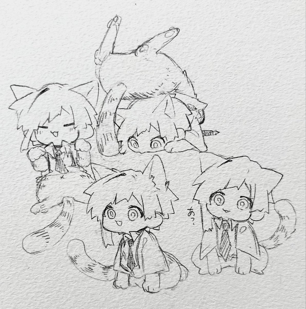 🐱🐯
