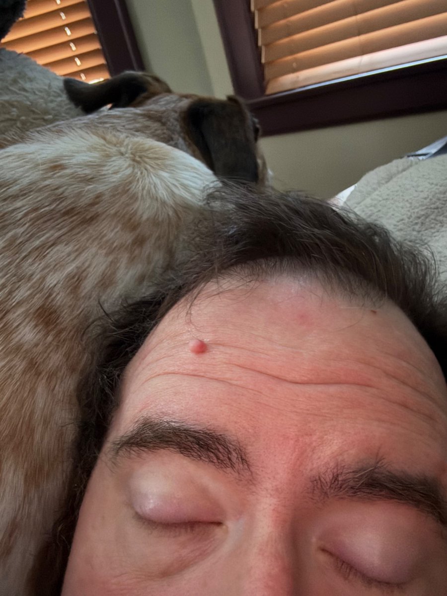 larford619's tweet image. 