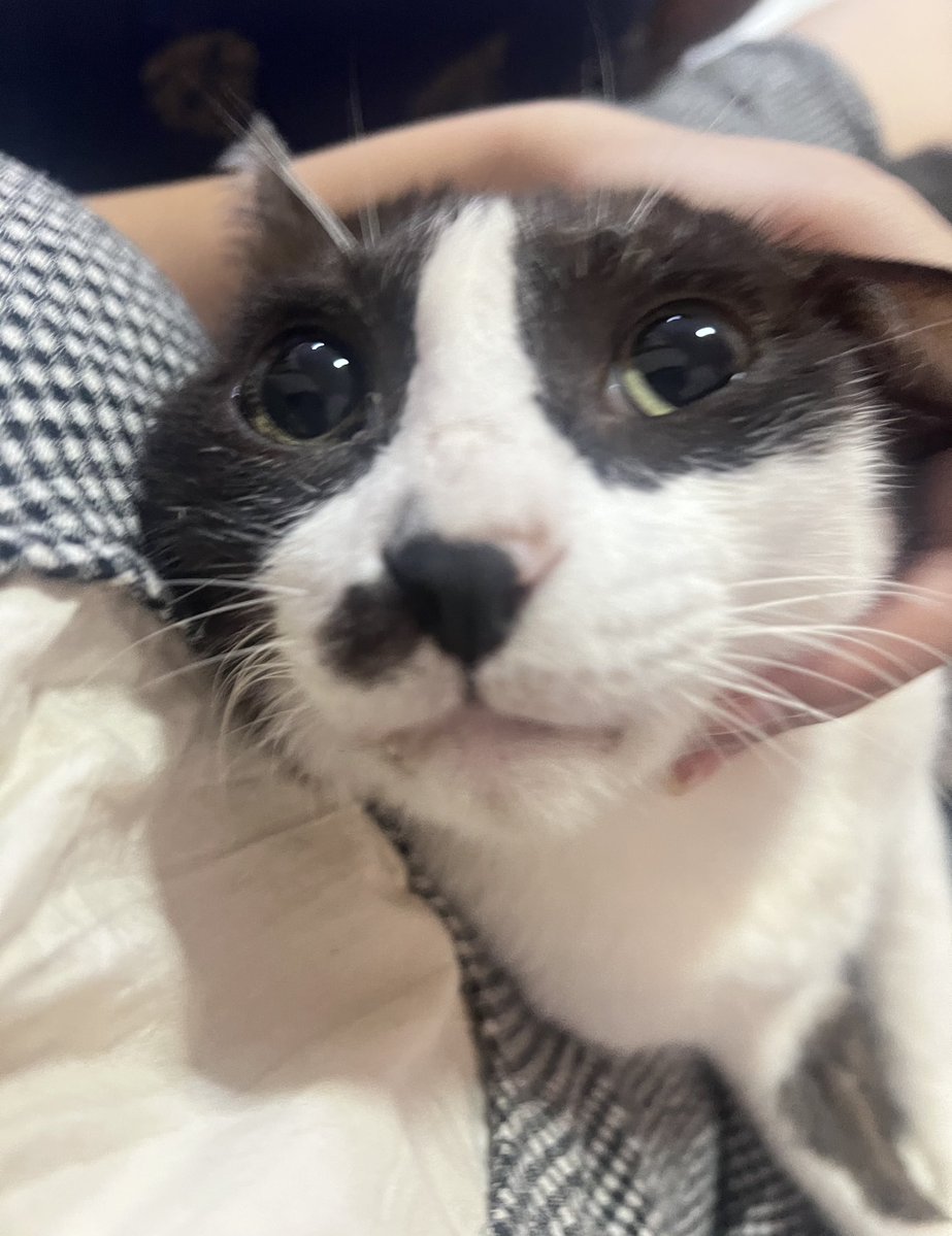 ตัวหอมปากเหม็น