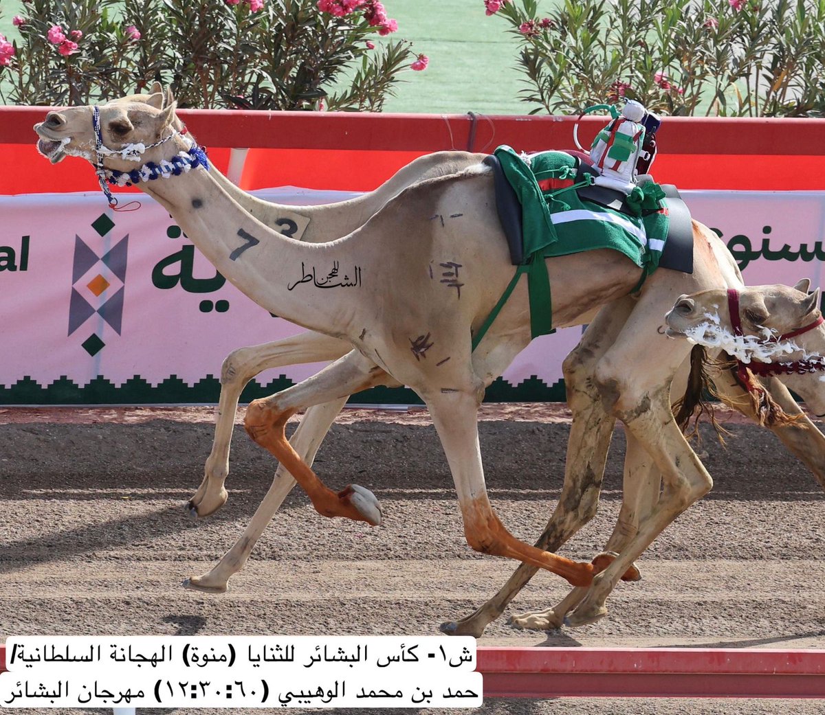 حمد محمد الوهيبي tweet media