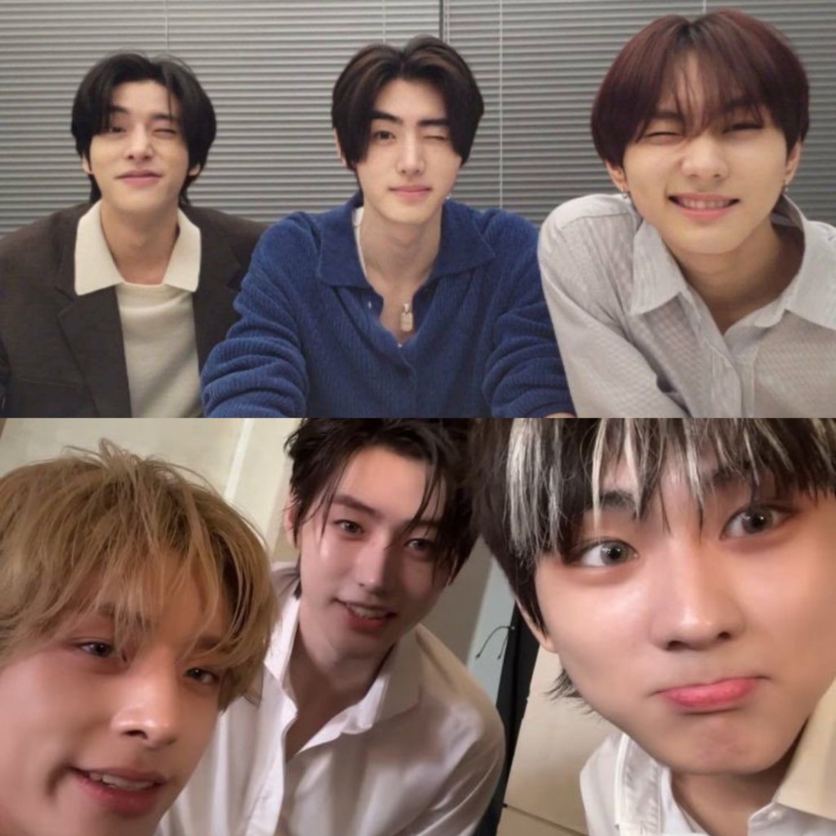 this is so cute for no reason