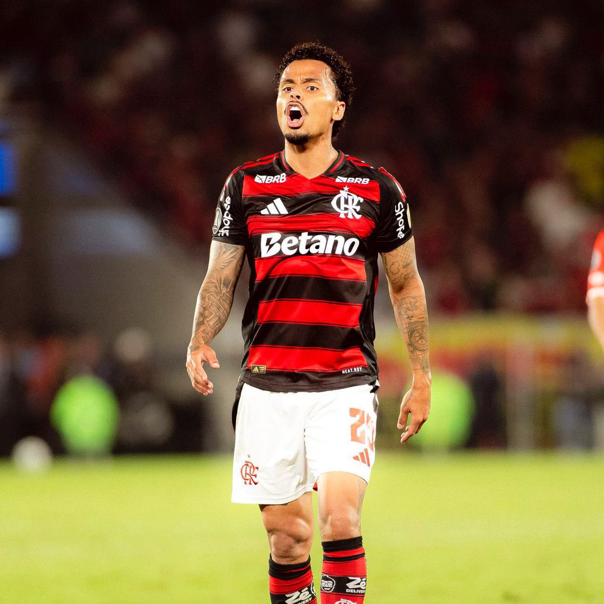 SCCP News tweet media