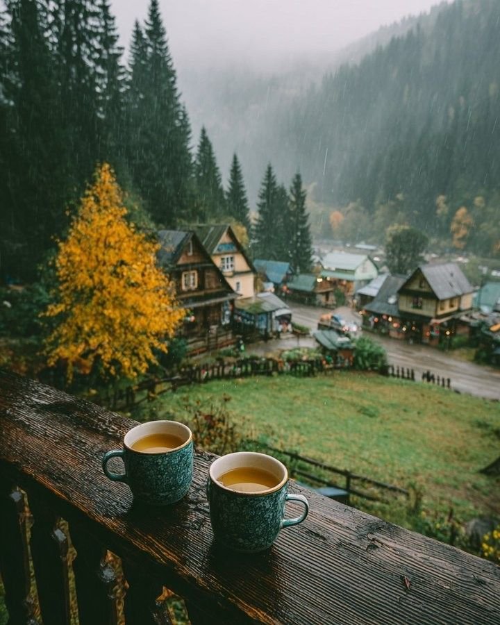 aestheticspost_'s tweet image. 