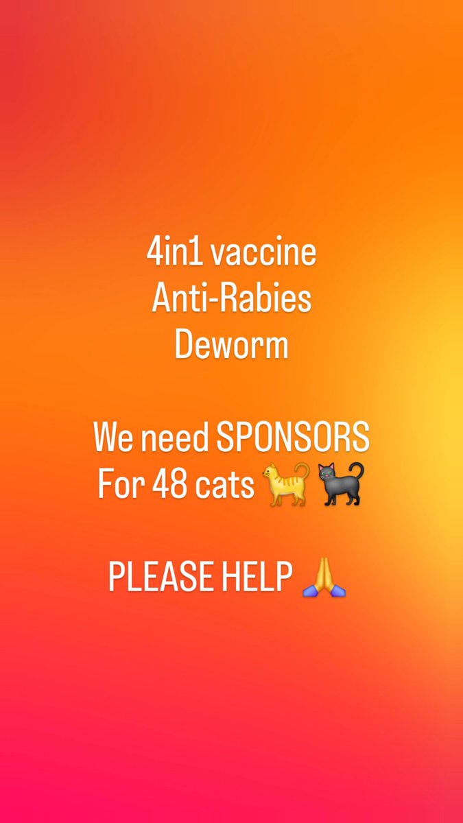 Gray And Siblings tweet media