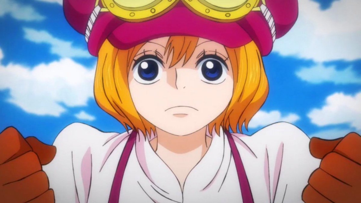 Daily Koala (@dailykoala1) on Twitter photo 