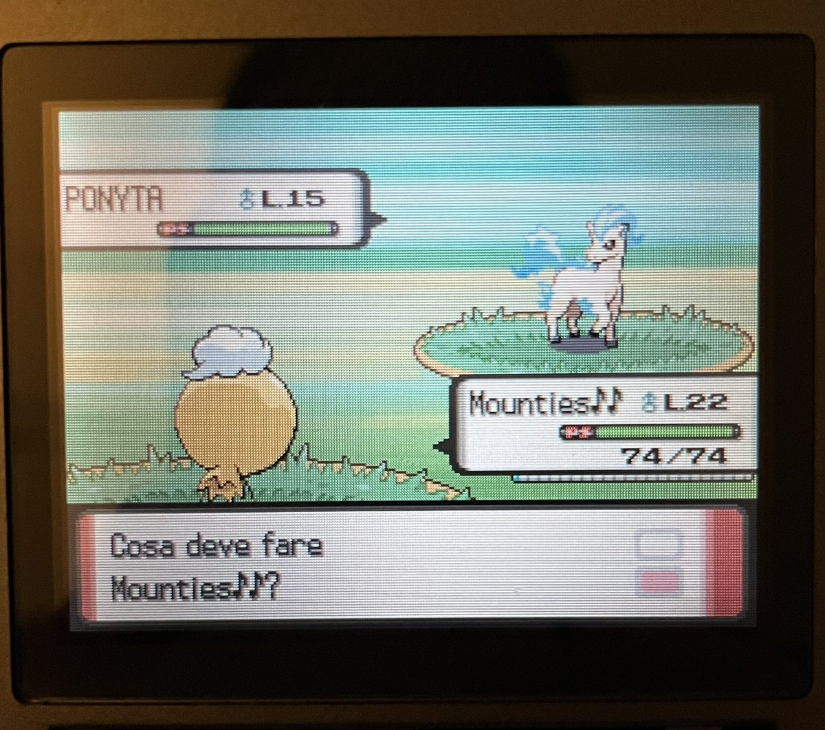 uncatchable mark tweet media