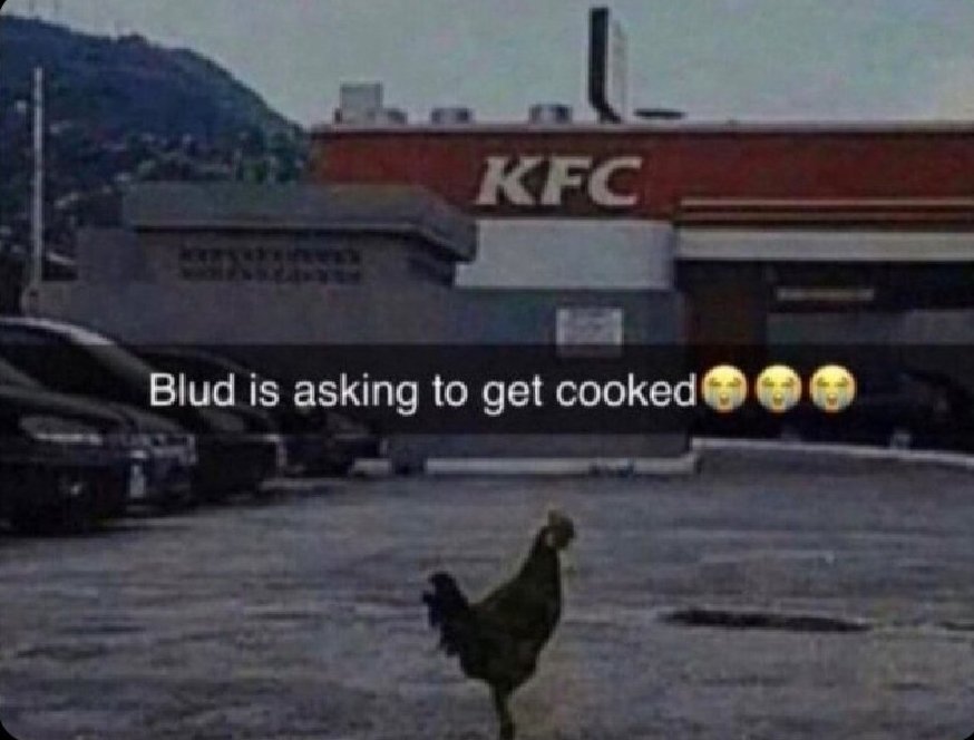 140yorker's tweet photo. 🐓😭 https://t.co/nicZ0H8zyv