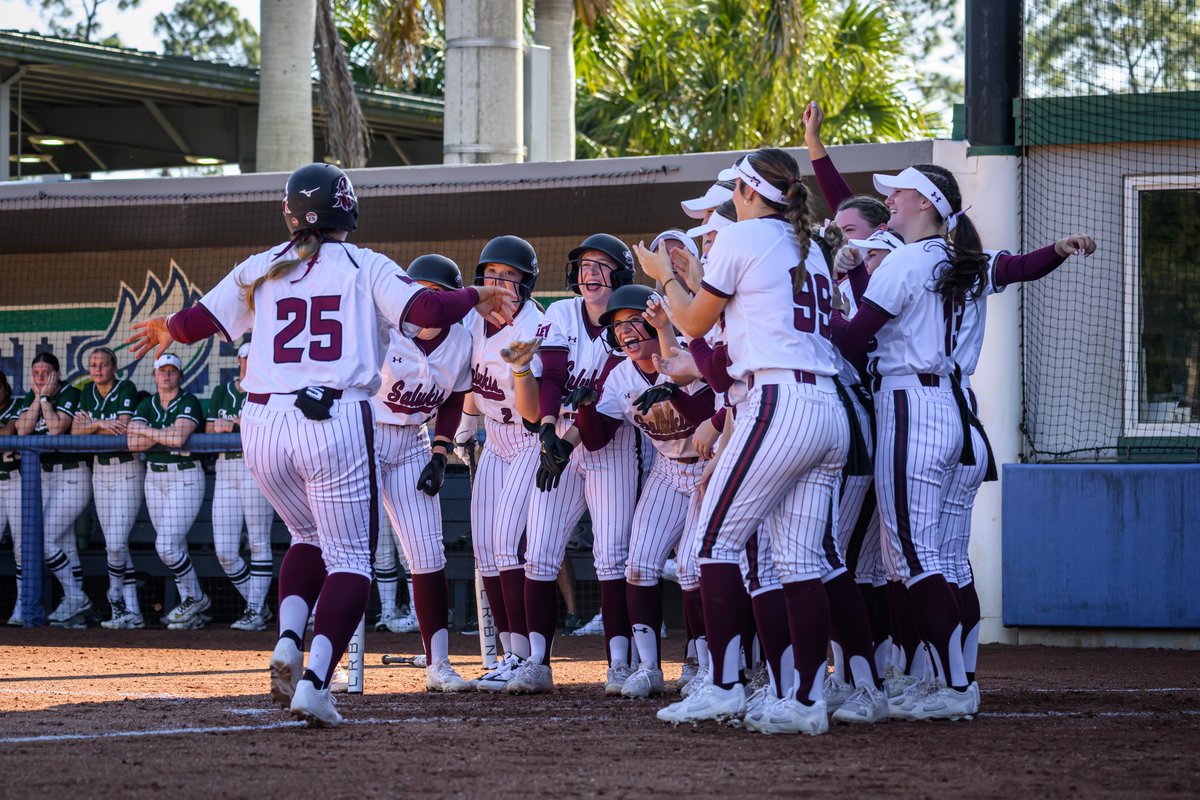 Saluki Softball tweet media