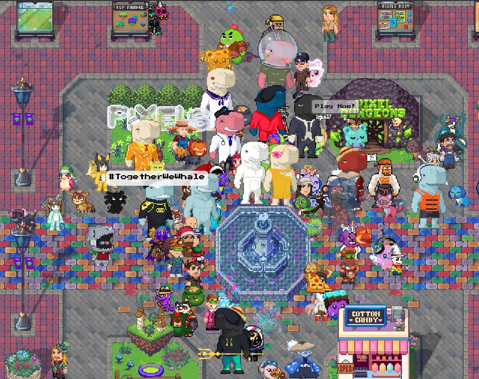 #TogetherWeWhale
<a href="/TogetherWeWhale/">Whale Community</a> <a href="/AlphaDoc69/">Doc</a>
<a href="/pixels_online/">Pixels</a>