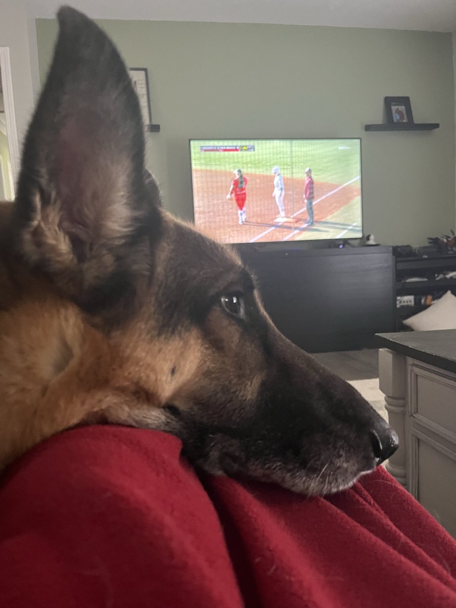 Claire Lilah Cooper Ogden tweet media