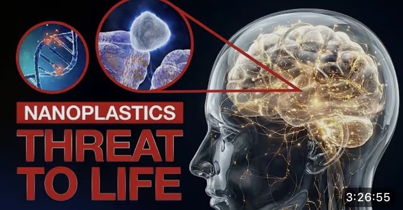 AnnaBndr's tweet photo. Plastic doesn’t stop at the environment. It continues inside the human body.
Today, the highest concentrations of plastic are found in the human brain.
Plastic inside the body is not neutral. Micro- and nanoparticles are electrically active and interact with living cells. Inside the body, plastic becomes “recharged.” It repeatedly accumulates electrostatic charge in tissues and in the bloodstream. Nanoplastics can enter cells. They accumulate and are poorly eliminated from the body. This makes plastic exposure chronic. It can disrupt the function of cells, organs, and the nervous system.

https://t.co/0kOblxkxHb