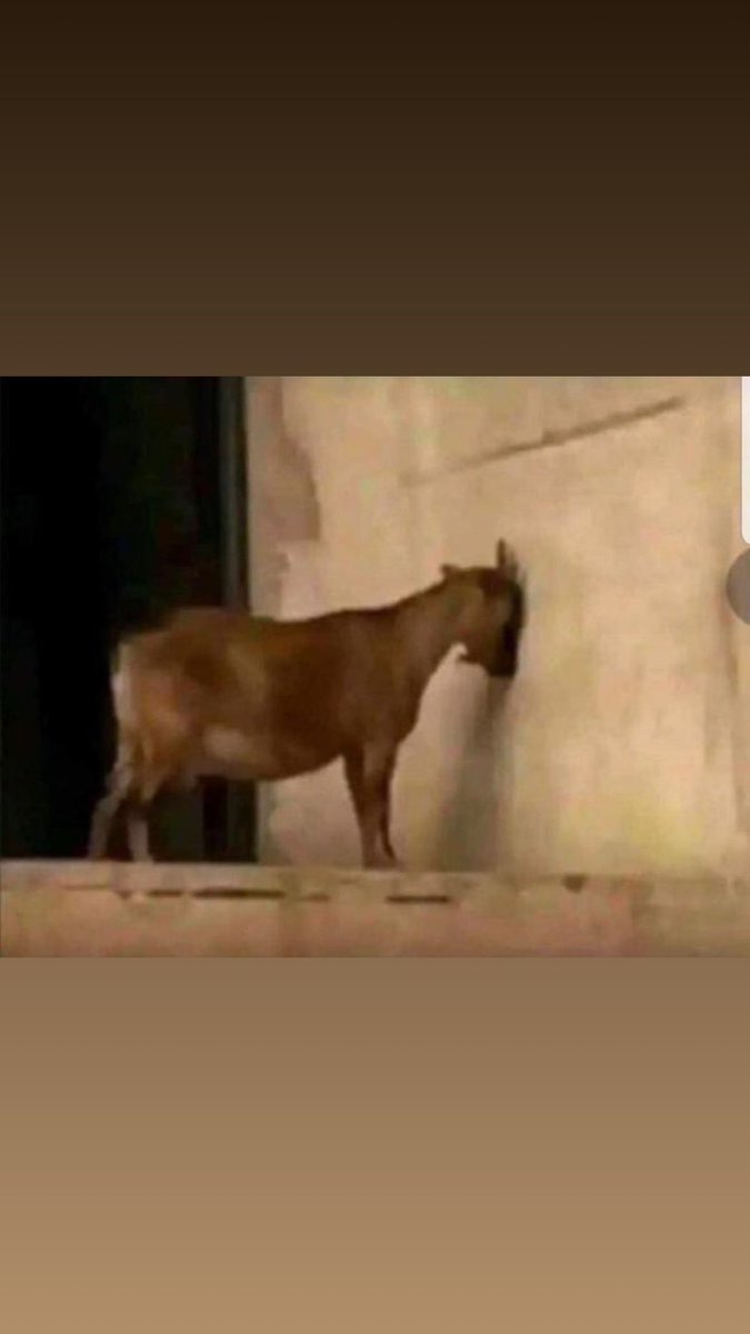 Sir Ashaba 🌘 tweet media