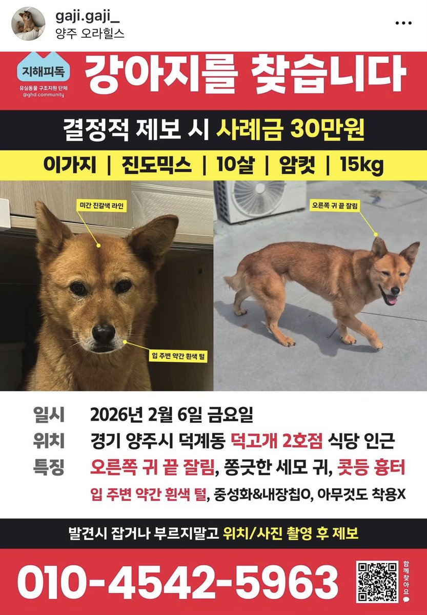 ‼️ 경기도 양주 ‼️
가지는 몇 해 전 유실 사건 후 보호자님이 힘들게 찾은 아이로 기억해요. 다시 유실된 곳은 하물며 보호자님도 없을 때고, 집 근처도 아닌 지라 도움이 많이 필요할 것 같아요. 추운 날 빠르게 찾을 수 있도록 공유로 도와주세요 😭
instagram.com/p/DUdcjSLj7Yu/…