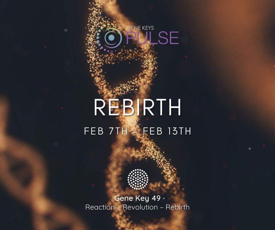 The Gene Keys tweet media