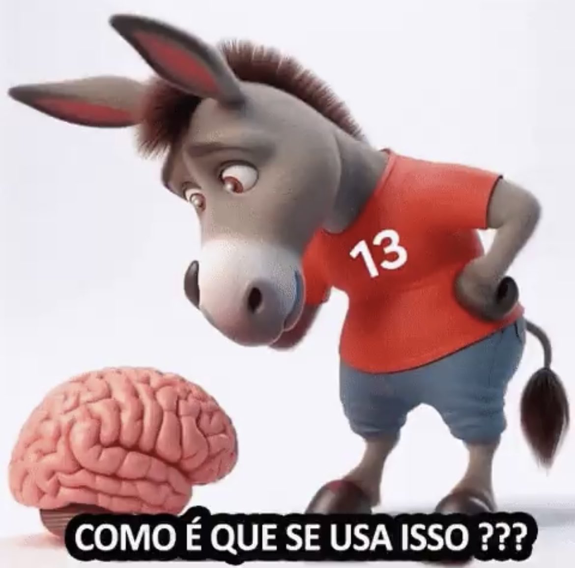 Maithe DG🇧🇷 tweet media