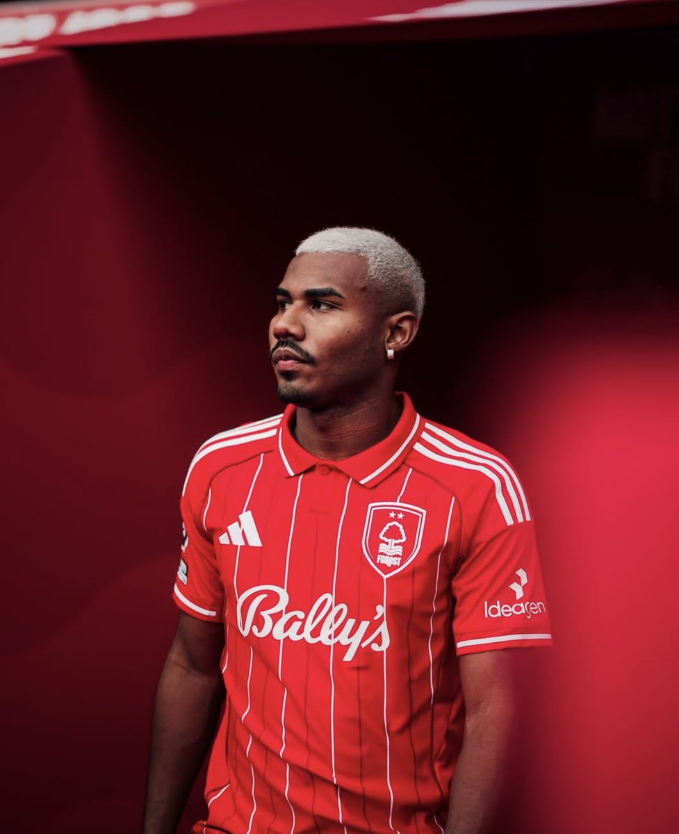 Forest Transfer Hub tweet media