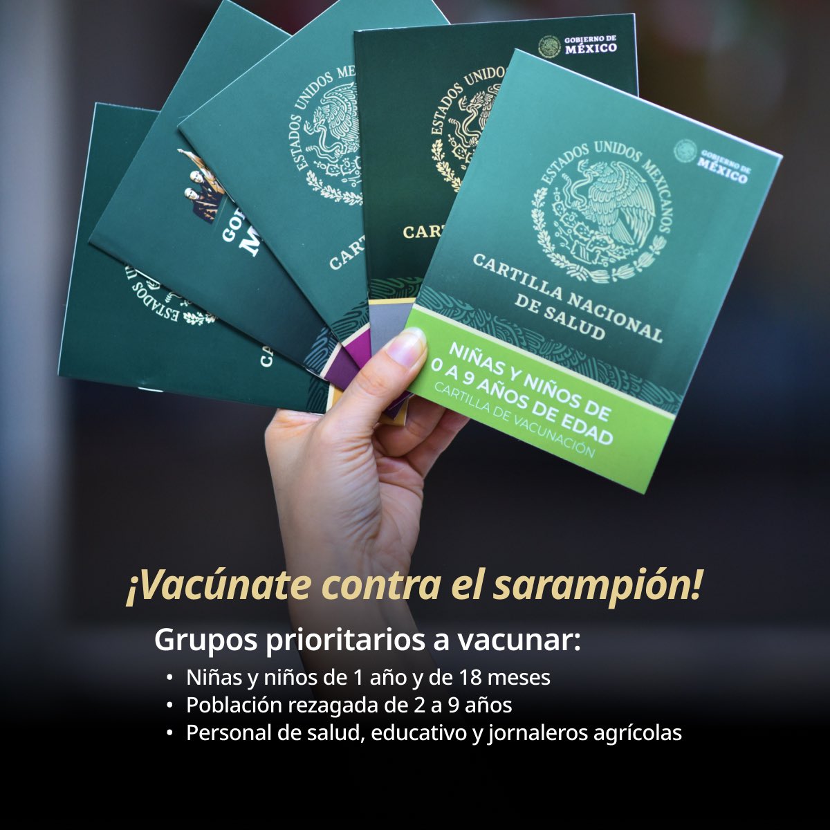 SSalud_mx's tweet photo. La vacunación contra el sarampión es una de las principales acciones para prevenir brotes y proteger la salud de la población. 💉

Las vacunas son gratuitas y están disponibles en las unidades de salud. 🏥

Acude a tu unidad y completa el esquema de vacunación. https://t.co/8VPmP78nFj
