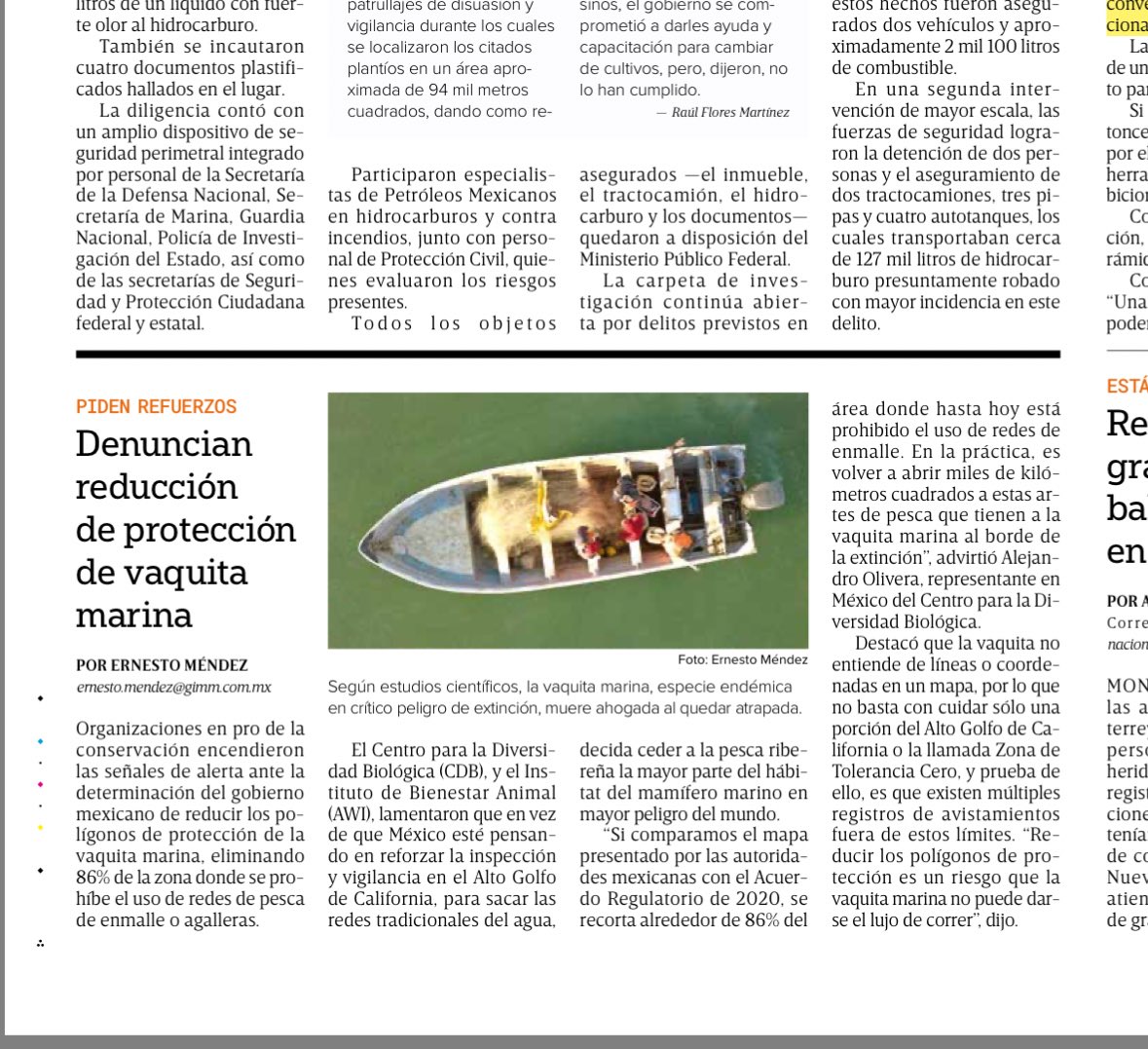 Acusan a México de rendirse ante cárteles y pescadores furtivos por reducción de polígonos de protección de #VaquitaMarina
Se elimina 86% de la zona donde se prohibía el uso de redes de enmalle.
Vía <a href="/Excelsior/">Excélsior</a> 
Leer: excelsior.com.mx/nacional/mexic…