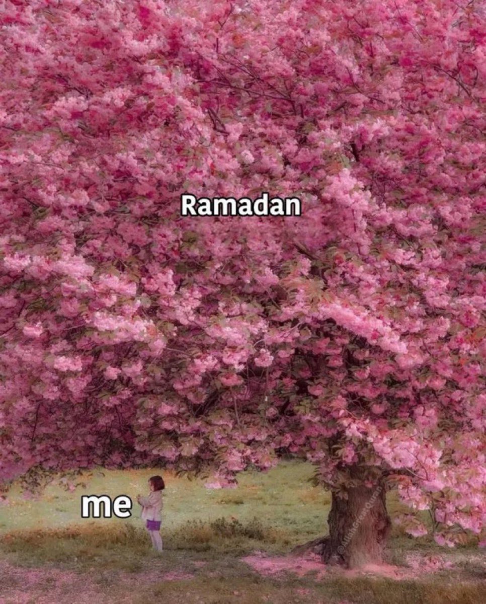 aiishadahir's tweet photo. Relax. Ramadan is coming &amp; everything will be okay https://t.co/IDb72j5D6q