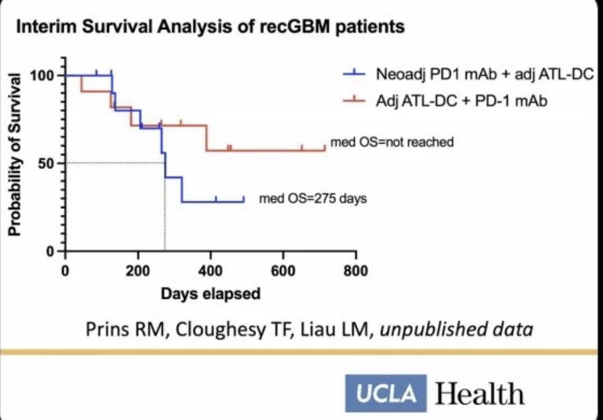 andrewcaravello's tweet photo. Perspective: From $NWBO #DCVax Immune Activation to Immune Control in #Glioblastoma

The Central $MRK #Keytruda Failure Mode: Immune Conversion, Not Immune Absence

Glioblastoma is not defined by an absent immune system. It is defined by an immune system that can be activated, can enter the tumour, and can still be converted into a state that cannot finish the job. That conversion is the central problem. It explains why checkpoint blockade has repeatedly failed as monotherapy, why dendritic cell vaccination can generate compelling immune signals yet still leave relapse intact, and why timing, rather than drug selection alone, becomes the governing variable in immunotherapy design for glioblastoma.

The most important lesson from the dendritic cell vaccine plus PD-1 blockade platform is now clear: the same PD-1 inhibitor can produce opposite outcomes depending on whether it is given before or after antigen priming. When PD-1 blockade is applied neoadjuvantly, before dendritic-cell priming is consolidated, the clinical phenotype can worsen despite immune entry. This is not classic tumour progression masquerading as pseudoprogression. It is an immune state error.

Timing as a Control Variable, Not a Scheduling Detail

Interim survival analysis in the recurrent glioblastoma ATL-DC platform diverges by sequence, favouring the regimen in which dendritic-cell vaccination precedes checkpoint sustainment. Single-cell immune profiling explains this divergence. Early PD-1 blockade shifts CD8 tumour-infiltrating lymphocytes away from early effector state and toward exhaustion, while tumour-associated macrophages upregulate a hybrid programme that is simultaneously inflammatory and suppressive. This includes IL-8 induction and checkpoint-ligand engagement mapping onto LAG-3, TIM-3, and BTLA pathways.

The system becomes loud enough to swell the brain and quiet enough to disable cytotoxic control. Immune cells are present. The immune response is not productive.

This establishes a critical principle: in glioblastoma, timing is not a logistical parameter. It is a biological control variable.

The Myeloid Gate as the Dominant Determinant of Outcome

The failure mode observed is best understood as myeloid gating. Glioblastoma does not primarily defeat immunity by exclusion. It defeats immunity by rapid recruitment and programming of suppressive myeloid populations that convert inflammatory signals into functional shutdown.

Activated T cells and interferon gamma do not act in isolation. In susceptible tumours, they serve as feedforward inputs into macrophage recruitment, cytokine amplification, and alternative checkpoint engagement. The result is a self-reinforcing loop of inflammation and dysfunction. This is why neoadjuvant PD-1 blockade can worsen outcomes in a vaccine-primed context. It accelerates immune signalling before the system is structured to withstand myeloid counter-regulation.

When Immune Pressure Becomes Selection Pressure

Even when antigen-specific immune pressure is successfully established and the myeloid gate is partially controlled, a second constraint emerges. Durable immune instruction becomes a selection force. If the tumour retains enhancer-state plasticity within a recurrence-competent progenitor compartment, immune pressure selects for adaptation rather than eradication.

This explains why immune-active tumours can still relapse. They are not escaping recognition. They are reprogramming identity.

AP-1 Clamping as Recurrence-State Control

Convergent evidence identifies AP-1 (JUN/FOS), particularly c-JUN-centred enhancer output, as a recurrence and mesenchymal control node in glioblastoma. AP-1 integrates stress signalling, inflammatory cues, and transcriptional plasticity. SOX21-associated biology demonstrates that disabling AP-1-dependent enhancer programmes collapses progenitor identity and slows established tumour progression.

This defines the missing second lever.

The AP-1 clamp is not a cytotoxin. It is a state-control intervention. It is applied as a short pulse during immune selection windows to prevent the recurrence compartment from using immune pressure as a signal to reboot itself. Because AP-1 is shared machinery between tumour and immune systems, this clamp must be sequenced after priming and early effector expansion and constrained by immune preservation metrics. A clamp that suppresses tumour AP-1 programmes while impairing dendritic-cell priming or T-cell cytotoxic modules is a failed clamp.

A Control-System Architecture for Glioblastoma Immunotherapy

Together, these insights define a control-system architecture rather than a drug-centric solution.

First, immune instruction must be established through dendritic-cell vaccination and innate support.

Second, myeloid gating must be actively controlled so immune activation is not converted into oedema-dominant suppression.

Third, checkpoint blockade must be deployed as sustainment, not as an early trigger.

Fourth, recurrence-state plasticity must be constrained through a pulsed AP-1 clamp applied during immune selection windows.

Fifth, durability must be supported so immune repertoire breadth and CD4/CD8 function are preserved long enough for surveillance and minimal residual disease clearance.

This sequence reflects biological reality. It treats glioblastoma as a system that converts signals unless constrained at multiple levels.

Implications for Trial Design and Translational Strategy

The correct trial design is not “add checkpoint to vaccine.” It is a sequenced architecture with measurable engagement.

Priming must come first. DC vaccination plus poly-ICLC establishes antigen-specific instruction and immune entry. Sustained PD-1 blockade comes after priming, not before, because neoadjuvant PD-1 shifts CD8 states toward exhaustion and primes macrophage programmes that combine M2 suppression with IL-8-driven recruitment and multi-checkpoint ligand engagement.

Myeloid interventions are not optional add-ons. They are gate controllers. IL-8-axis targeting, CCR2/CCR5 recruitment blockade, and macrophage remodelling must be pre-specified and biomarker-triggered. Fc-quiet checkpoint design should be considered an architectural default in myeloid-high tumours, not a preference.

Finally, recurrence-state control must be built in. Once immune pressure exists, AP-1-driven enhancer-state reprogramming becomes the relapse route. A pulsed AP-1 clamp, guided by programme-level readouts, prevents immune pressure from selecting a mesenchymal recurrence reboot.

Closing Perspective

The core lesson of this platform is not that glioblastoma is immune cold. It is that glioblastoma is immune convertible. It can admit immune traffic and still win by turning immune activation into a suppressive myeloid wall that produces oedema and disables cytotoxic control. The timing-dependent pembrolizumab signal demonstrates this in humans, and the single-cell evidence identifies the machinery responsible.

Once immune instruction is durable, immune pressure becomes selection pressure. If recurrence-state plasticity remains intact, the tumour reboots through AP-1-dependent enhancer programmes. That is why the second lever matters.

Myeloid gating prevents immune activation from becoming suppression.

AP-1 clamping prevents immune pressure from becoming recurrence.
This is the integrated architecture: instruction first, gate control second, sustainment third, recurrence-state clamping during selection windows, durability support for repertoire preservation, and minimal residual disease cleanup only as needed. It is no longer a drug story. It is a control system.
