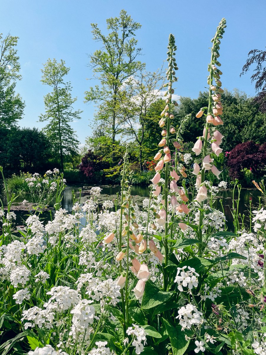 Alyssa 🌻 tweet media