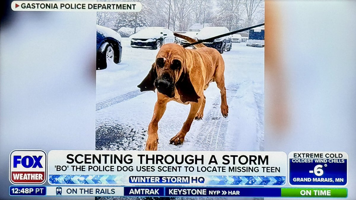 Gastonia Police tweet media