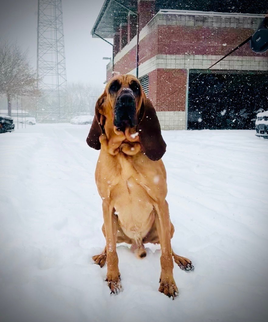 Gastonia Police tweet media