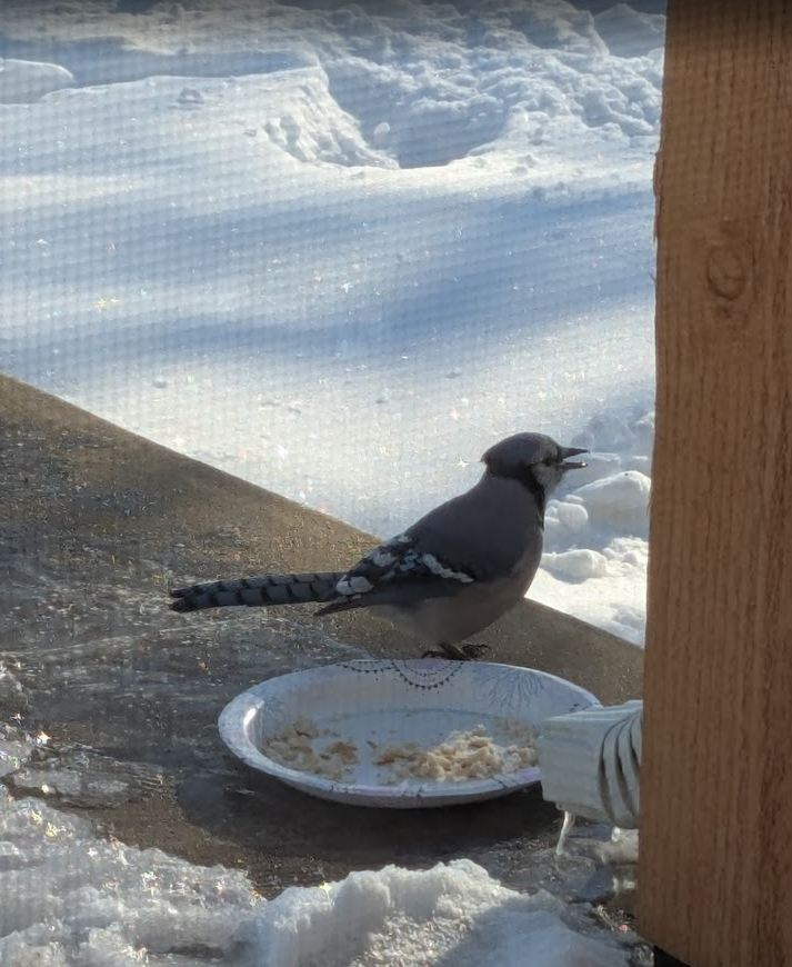 Devany Wilson tweet media