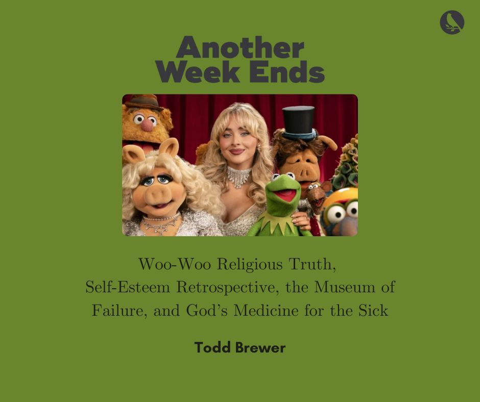 Thread:🧵