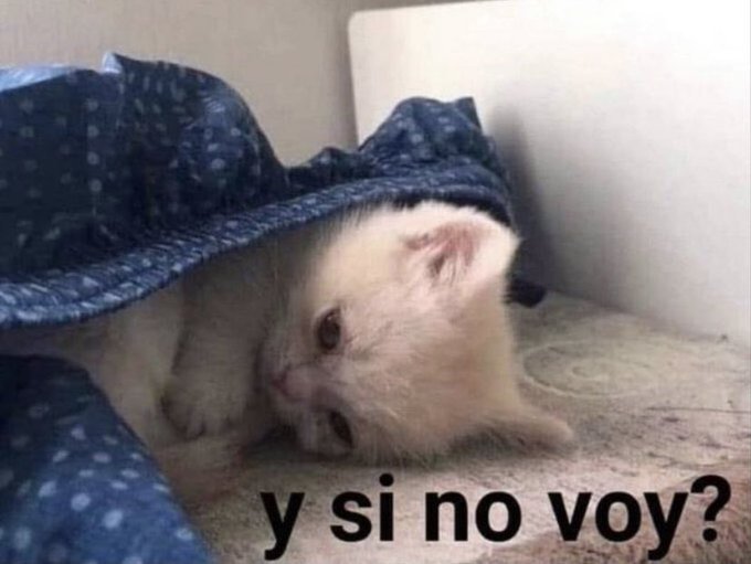textospace's tweet photo. yo todas las mañanas https://t.co/5uJw0T6UmR