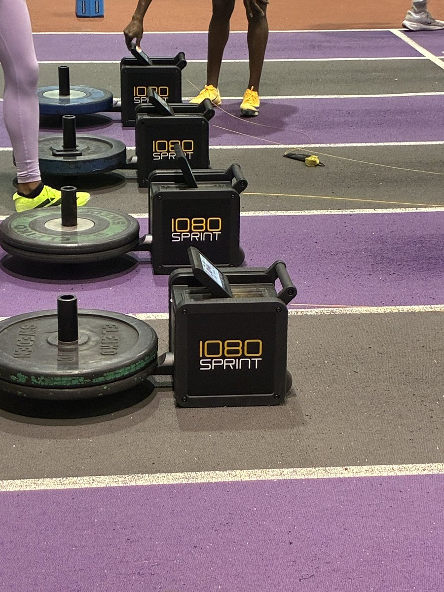 Todd Lane tweet media