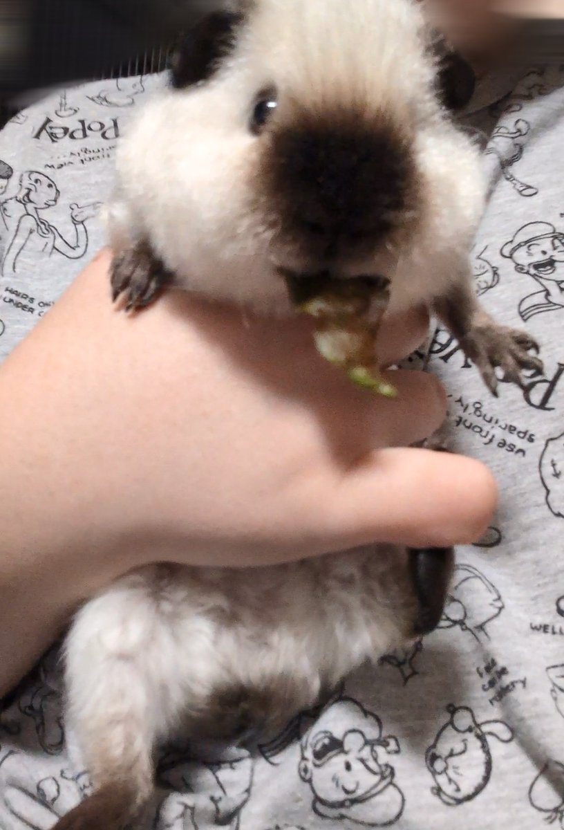 ann(ﾓﾙﾓﾙ) tweet media