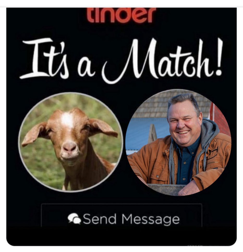 Gazoo21588616's tweet photo. @lisahsmithlhs @Angelina738738 @jontester @jontester is still on the Tinder goat dating site!
#TesterTheMolester
#PedosBelongBehindBars https://t.co/KLt6alffJV