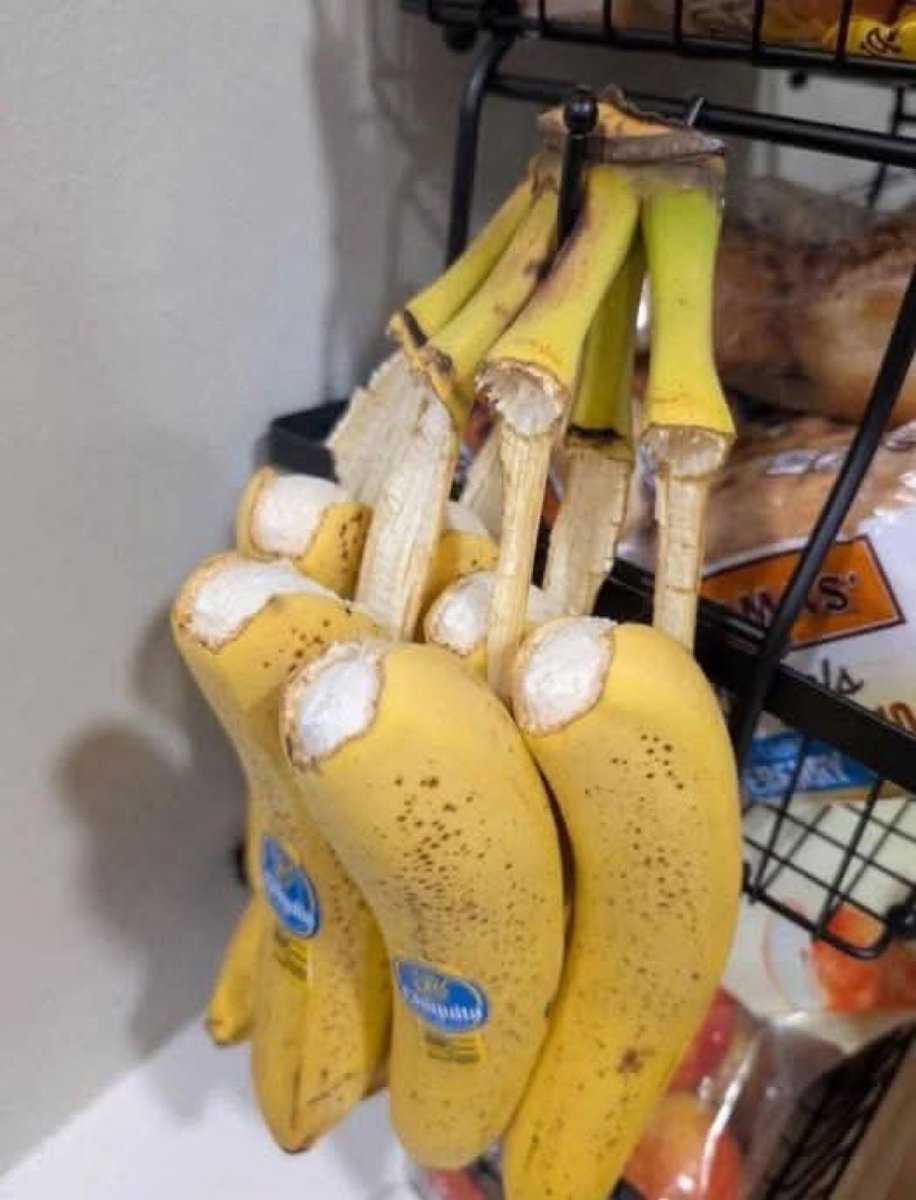 MrPitbull07's tweet photo. All of my bananas unpeeled themselves as I slept last night, and I'm sitting here crying because I know exactly who did this.

My grandmother always promised she'd find a way to send me signs after she passed. "I'll make sure you know I'm still here, sweetheart," she used to say with that mischievous twinkle in her eye. Today marks exactly one year since she's been gone, and I've been struggling so hard with missing her.

Every Sunday when I was little, she'd make the most incredible banana bread. I'd stand on a chair next to her in the kitchen, watching her peel banana after banana with those gentle hands that always smelled like vanilla and love. She'd tell me stories about her own grandmother while we waited for the bread to bake, and the whole house would fill with that warm, sweet smell that meant everything was right in the world.

I woke up this morning dreading this anniversary, and then I found this in my kitchen. Every single banana had peeled itself perfectly overnight, like she was getting them ready for our Sunday baking tradition. I've never seen anything like this happen before, and I know it sounds crazy, but I can practically feel her presence in my kitchen right now.

I've been making memorial recipe cards with family stories and selling them online to help other people preserve their food memories the way she preserved ours. Every order I send out carries a little piece of the love she taught me about cooking and family.

But this morning, she reminded me that some recipes can't be written down. Some love just appears overnight, perfectly prepared, waiting for you to notice that you're never really alone.

I think I'll make banana bread today.

Credits goes original owner