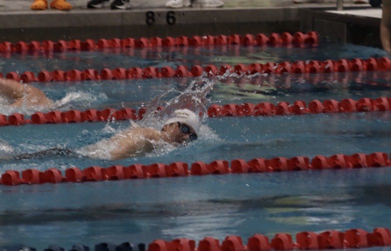 Gatlinburg-Pittman Swimming tweet media