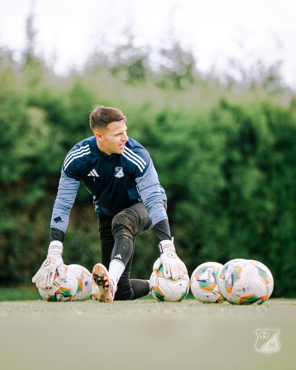 GLORIOSO AZUL tweet media