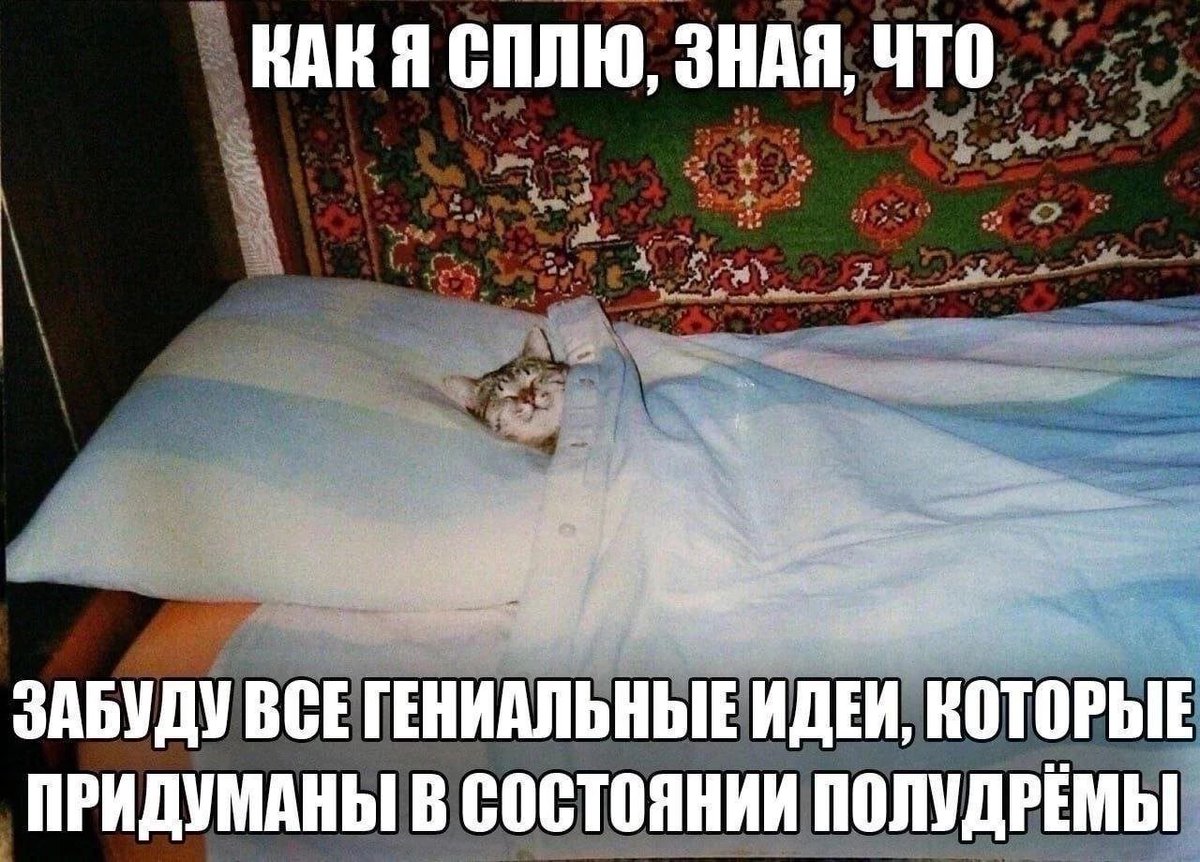cats, i love cats (@catsilcats) on Twitter photo 