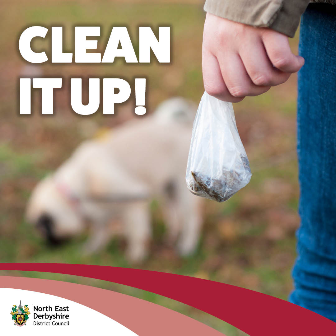 North East Derbyshire District Council tweet media