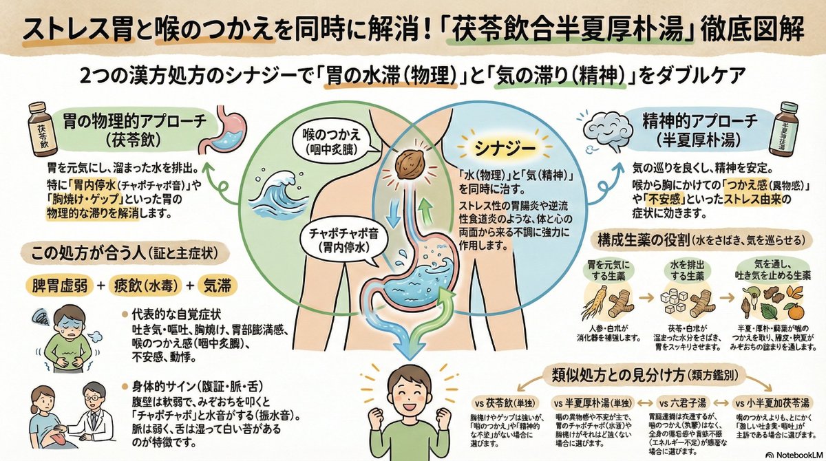 🤢💧【ストレスで吐き気・胸焼け・喉のつかえに】漢方薬 「茯苓飲合半夏厚朴湯(ぶくりょういんごうはんげこうぼくとう)」の選び方 この処方は、胃の ...