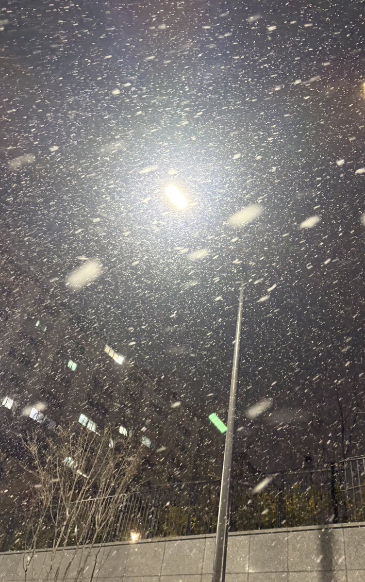 sagwa913's tweet image. 몬난이