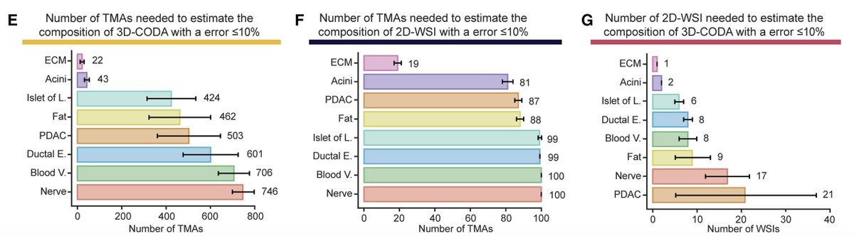 Denis Wirtz tweet media