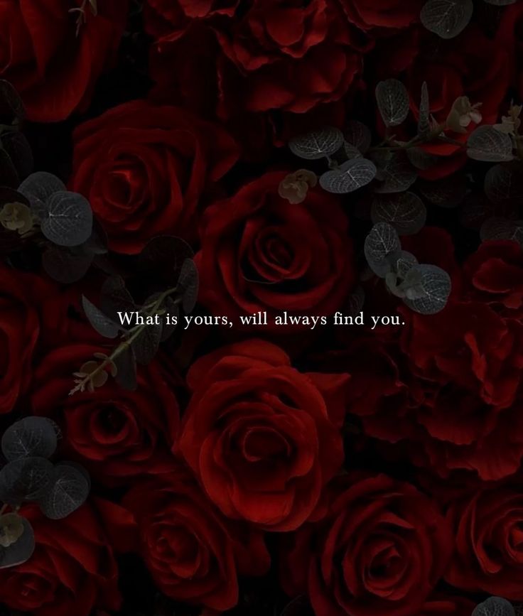 DestinyZ Call Tarot tweet media