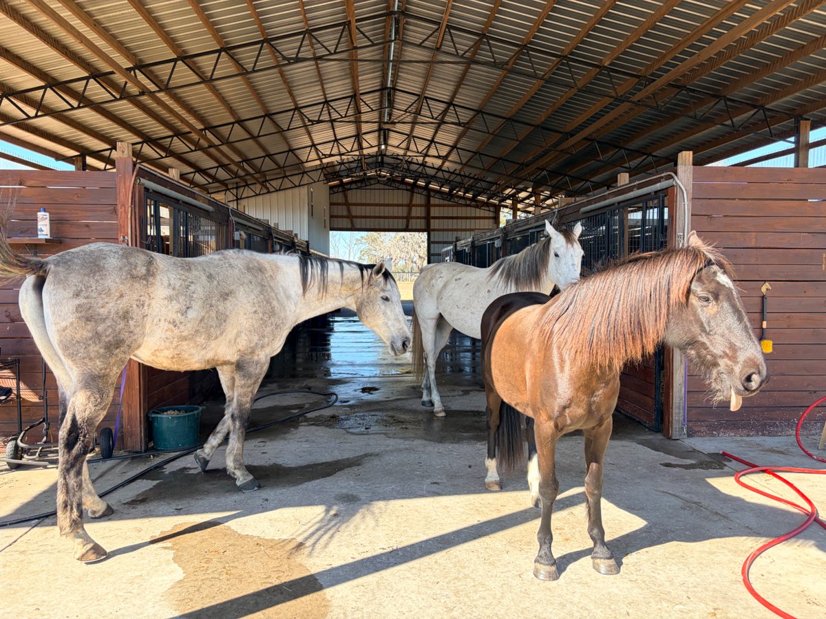 Brianna Bond tweet media