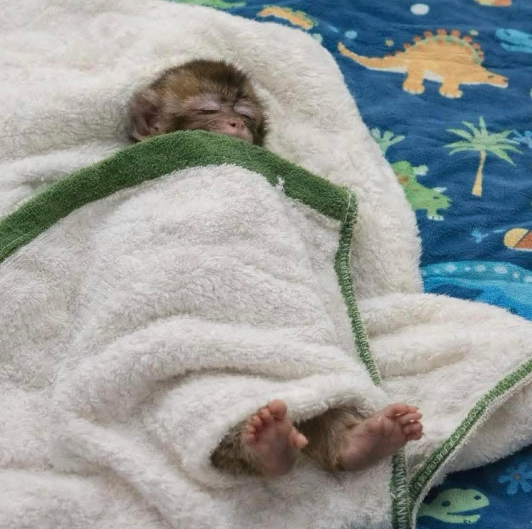 When you're cold but a little hot so you stick the feet out😭….