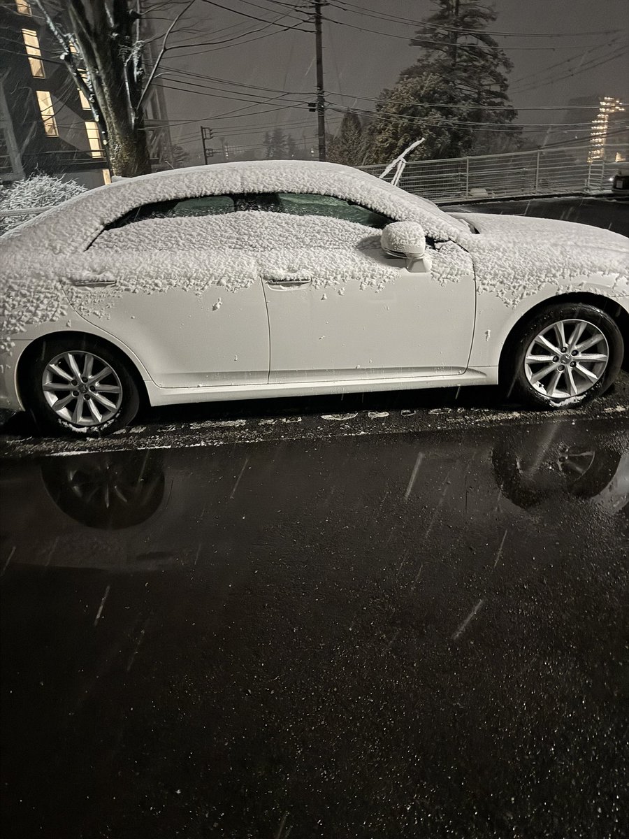 svmna's tweet image. クソ